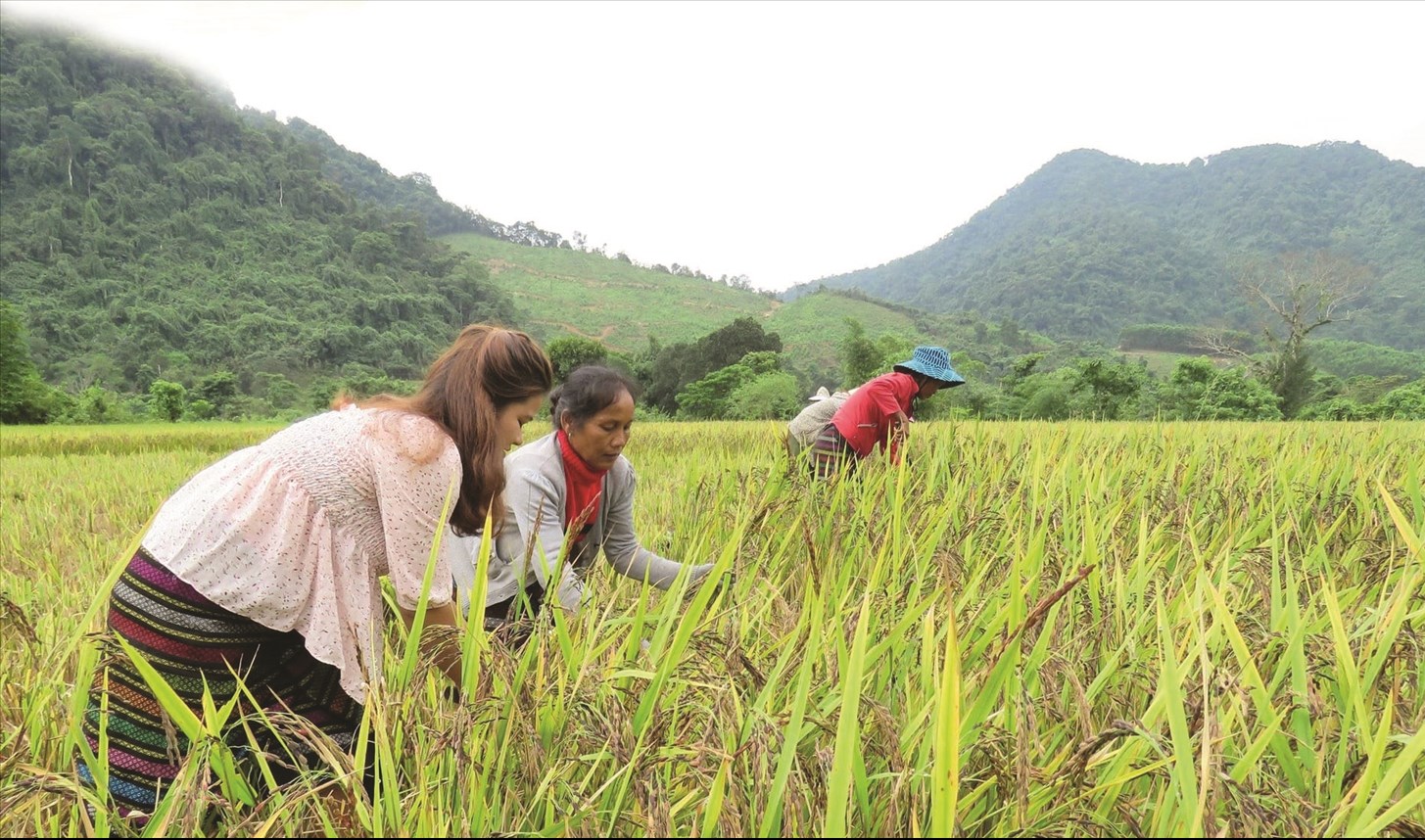 Trao “cần câu” cho đồng bào DTTS là cần thiết, nhưng quan trọng hơn là hướng dẫn và giúp người dân tự tin ""ra khơi". Ảnh minh họa