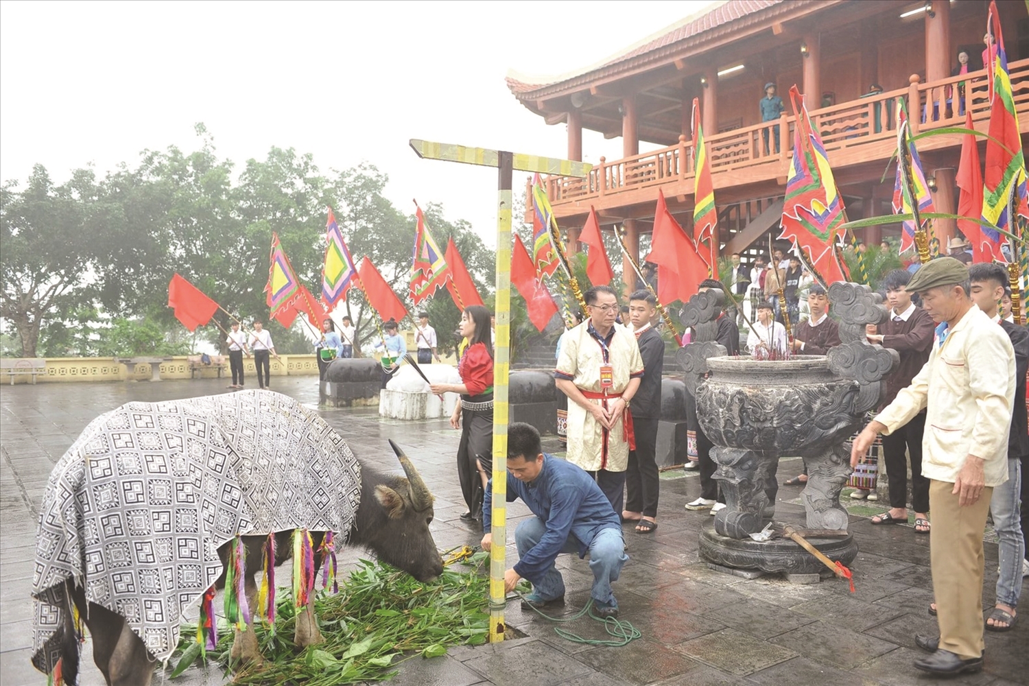 Lễ om quải (hiến trâu và cúng thần) cầu mong quốc thái dân an, mùa màng tươi tốt, bản mường no ấm
