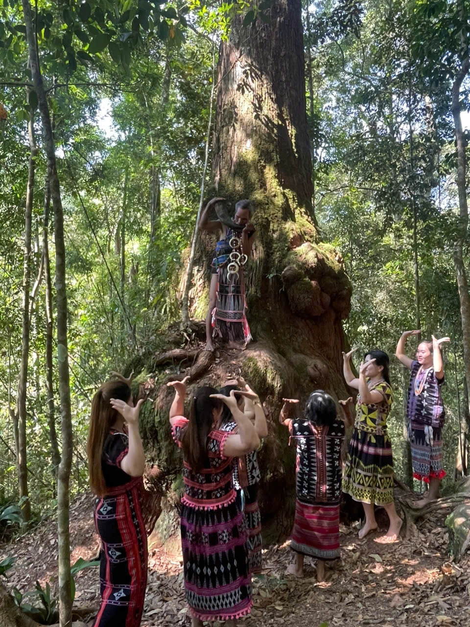 Đời sống văn hoá đồng bào Cơ Tu gắn với rừng. (Ảnh HT)