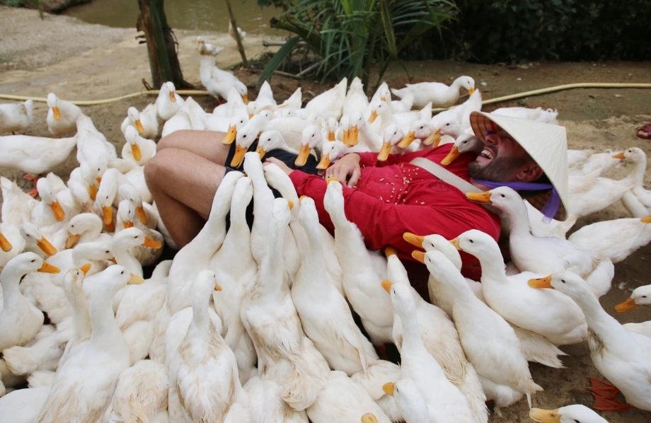 Trải nghiệm “massage vịt”, nghe qua có vẻ kỳ lạ, lại tạo nên hiệu ứng lan tỏa mạnh mẽ trên mạng xã hội với hàng triệu lượt xem. 