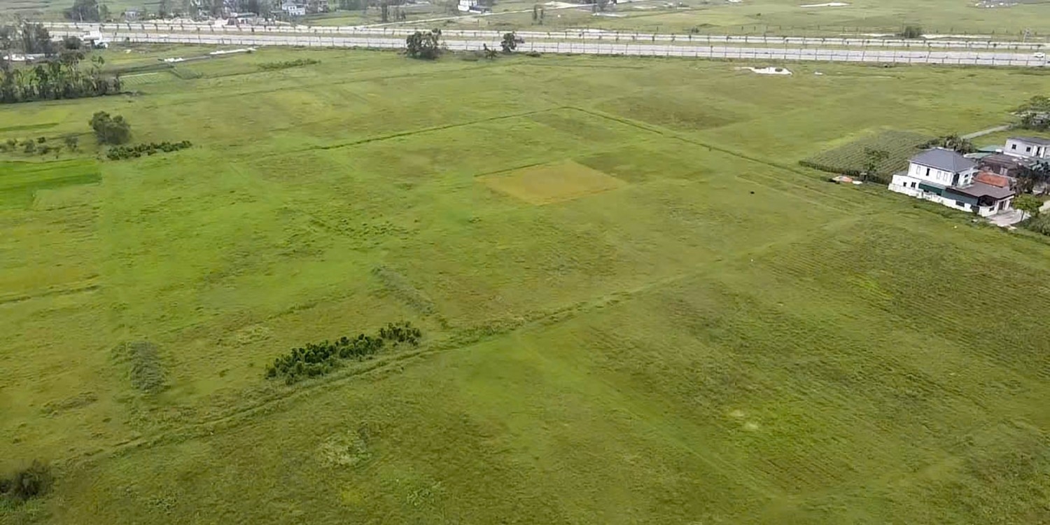 Phần lớn đất dự án xây dựng Trung tâm hành chính tỉnh Nghệ An theo phương thức đối tác công tư là đất nông nghiệp - Ảnh: Trần Tuyên