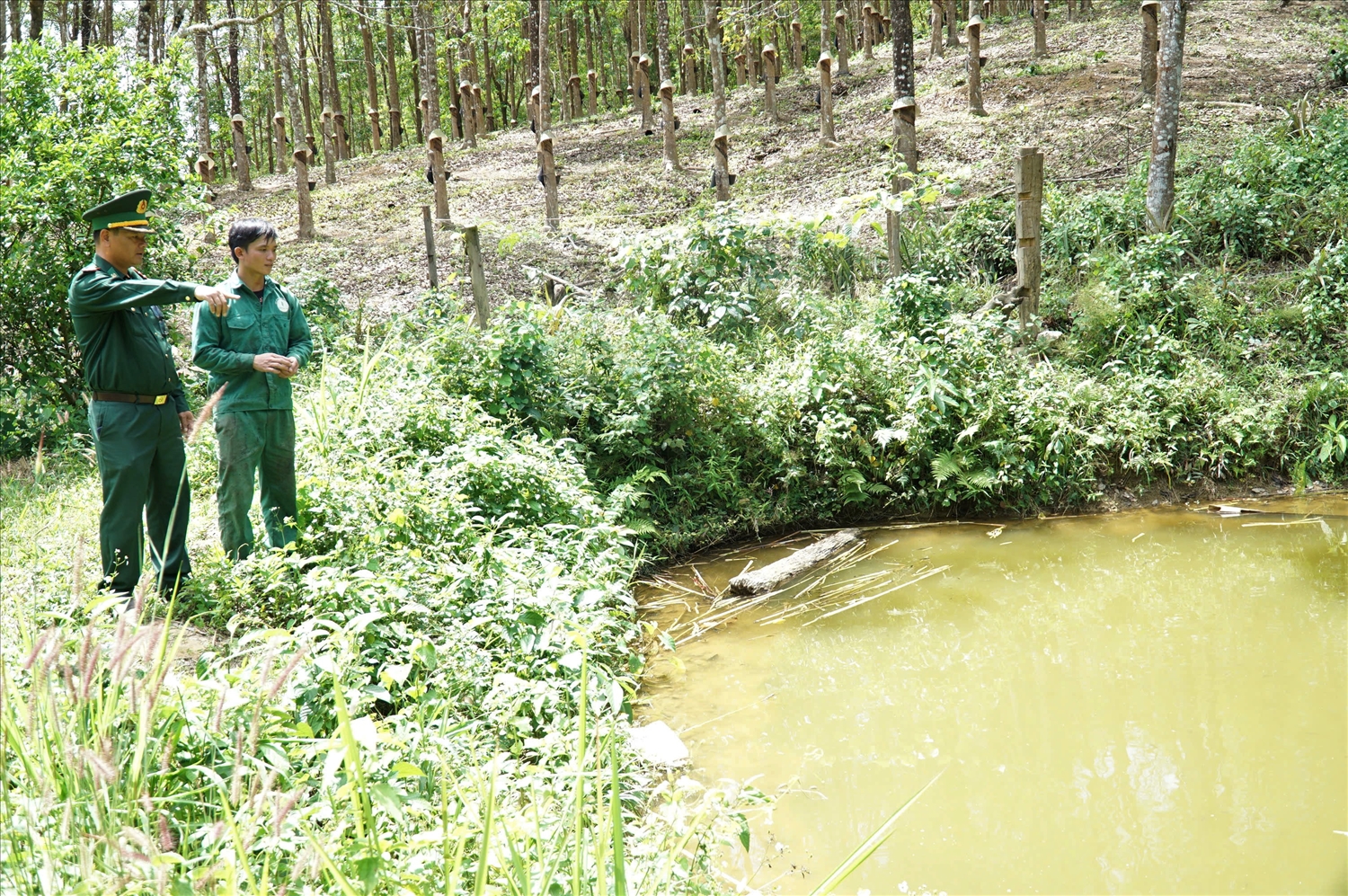 Nhờ sự giúp đỡ của Trung tá Nguyễn Đức Vinh, Đồn Biên phòng Ia Đal mà gia đình anh Hà Văn Tứ đã có nguồn thu nhập ổn định và vươn lên thoát nghèo. (Ảnh: Ngọc Chí)