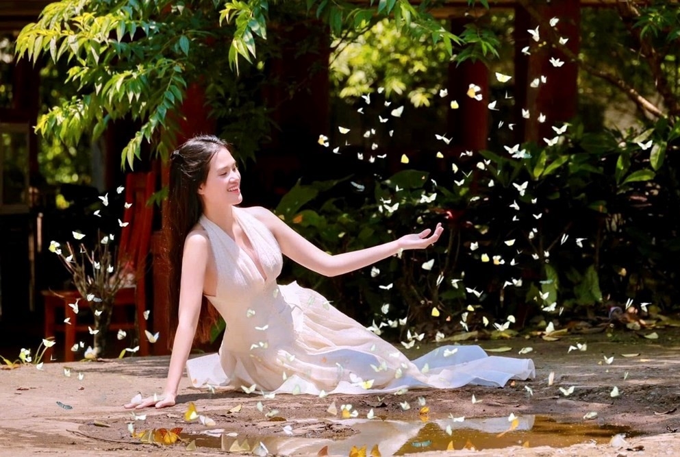 Du khách thích thú tạo dáng giữa vũ điệu hàng nghìn cánh bướm tại Vườn Quốc gia Cúc Phương, khoảnh khắc đẹp như cổ tích thu hút đông đảo người đến săn ảnh mỗi dịp đầu hè. Ảnh: VQGCP