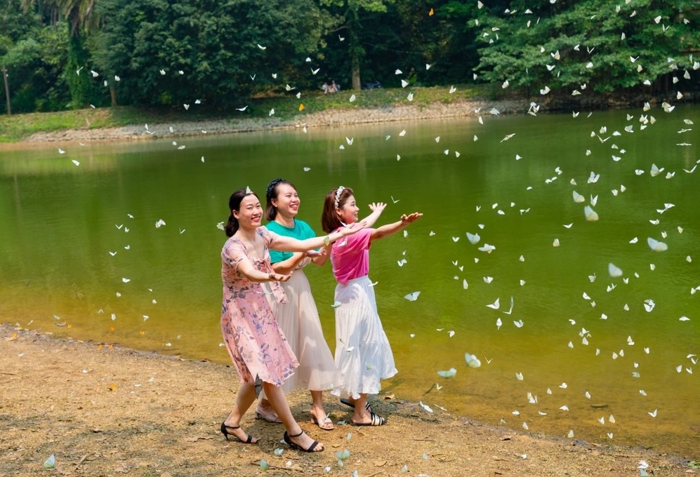 Du khách ghi lại khoảnh khắc hiếm có, mỗi năm chỉ xuất hiện một lần tại Vườn Quốc gia Cúc Phương. Ảnh: Ngọc Linh.