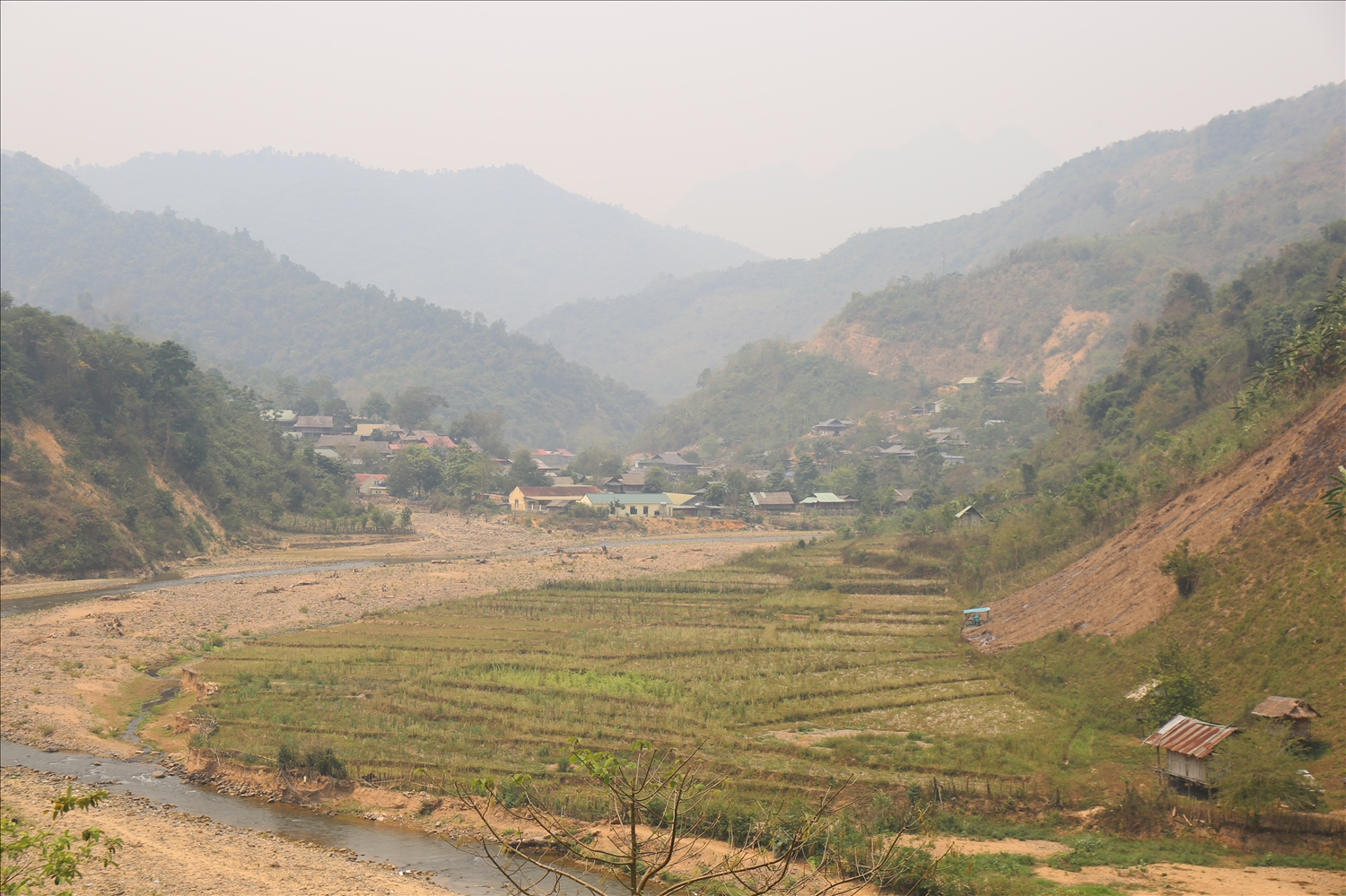 Những thửa ruộng thiếu nước ở Bắc Lý - Ảnh: Thanh Hải