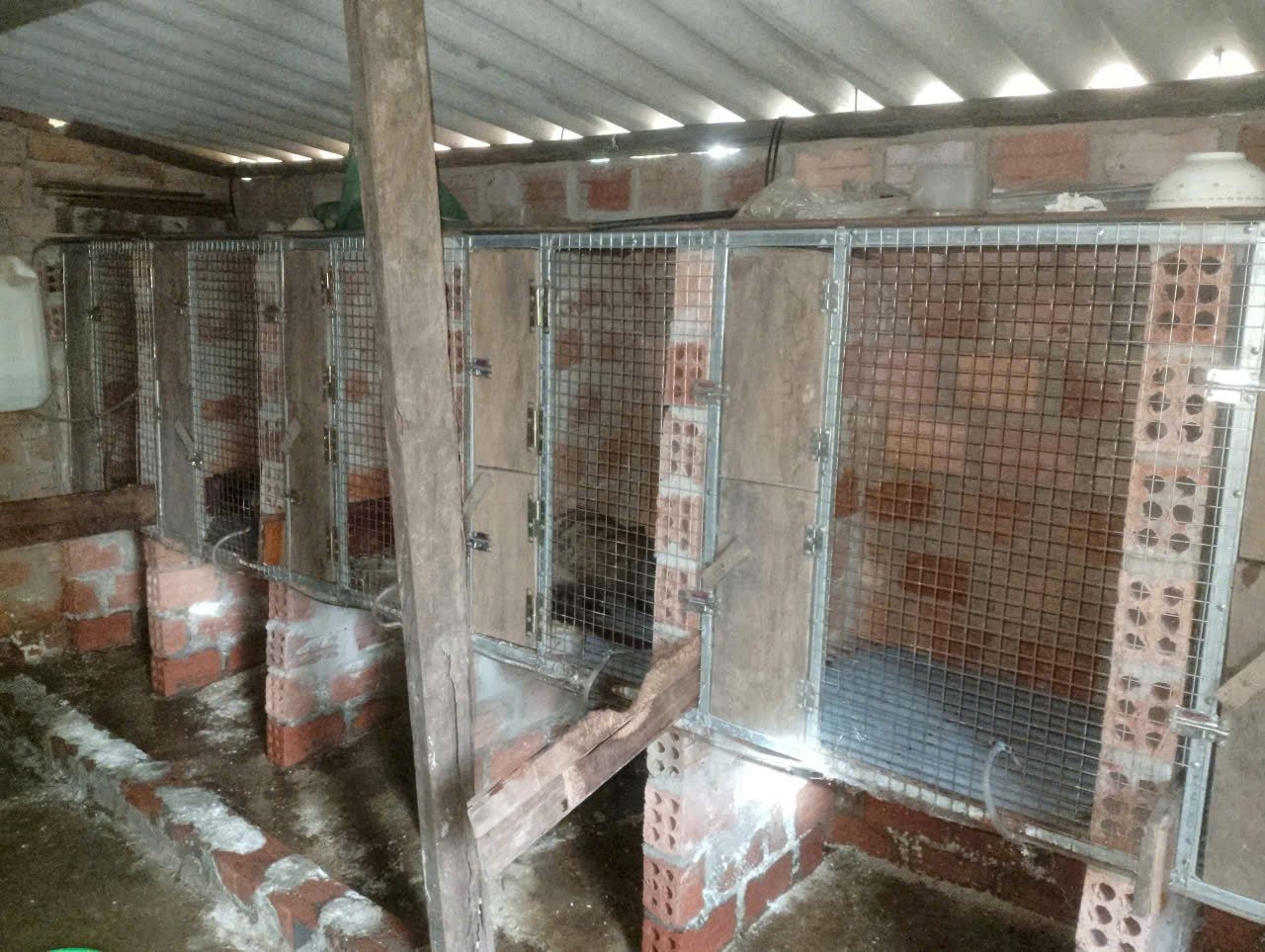 Chuồng nuôi chồn không đòi hỏi phải có diện tích lớn, đầu tư không cao (Ảnh: Phạm Tiến)