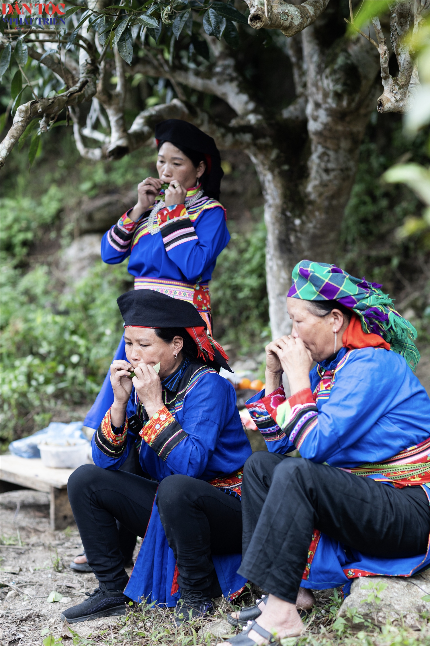 Khi chơi kèn lá, người chơi đặt chiếc lá lên môi, giữ nhẹ hai đầu rồi điều chỉnh hơi thở để tạo thành âm thanh