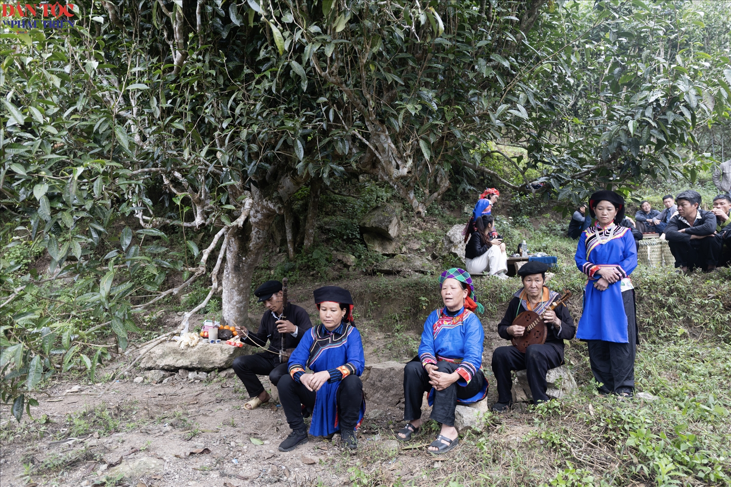 Cây đàn Sèn Dư góp mặt trong các nghi thức tín ngưỡng dân gian của người Cờ Lao đỏ