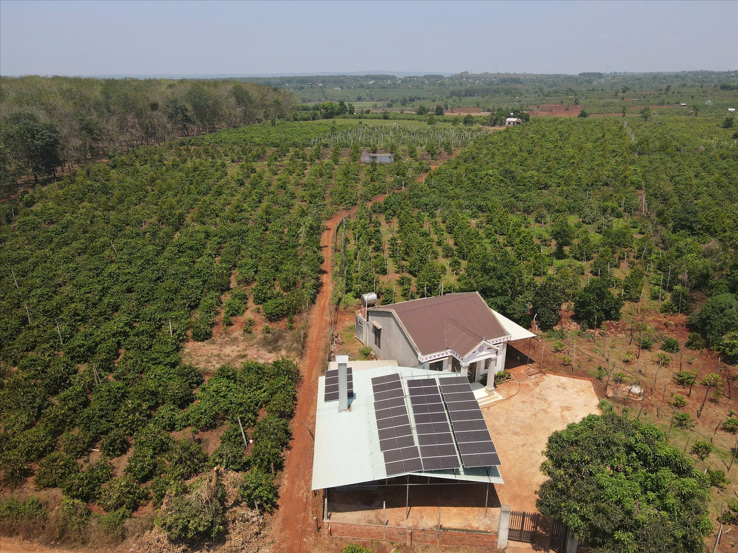 Hệ thống điện năng lượng mặt trời áp mái của gia đình ông Nam có thể phục vụ tưới tiêu cho 5 ha cây trồng