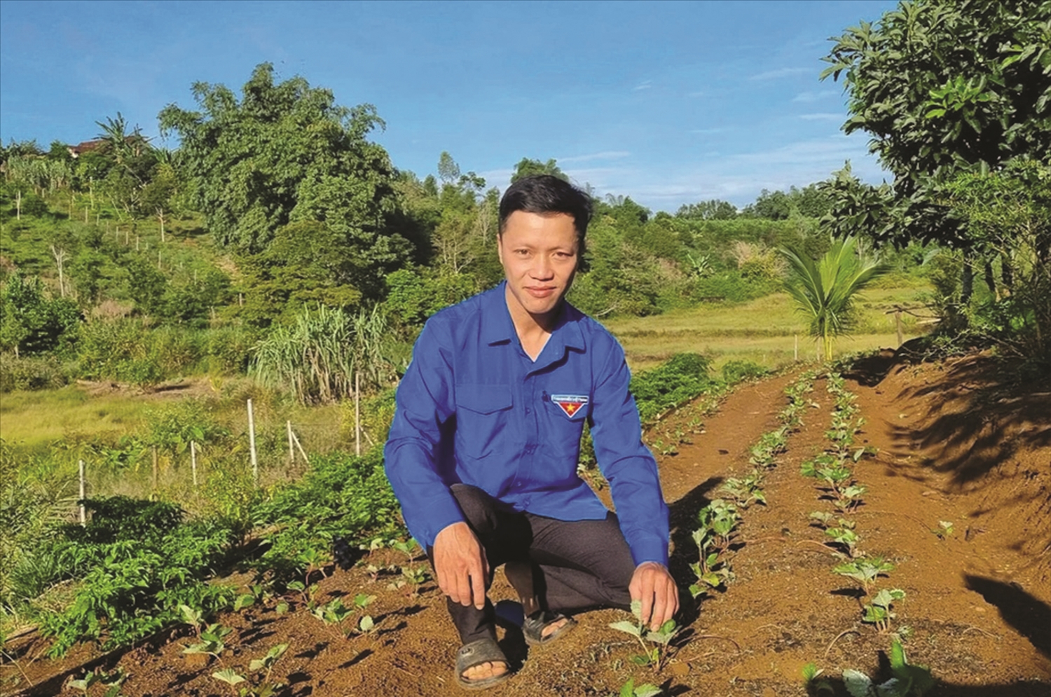 Anh Bùi Ngọc Thanh khởi nghiệp từ trồng dâu tây kết hợp làm du lịch cộng đồng