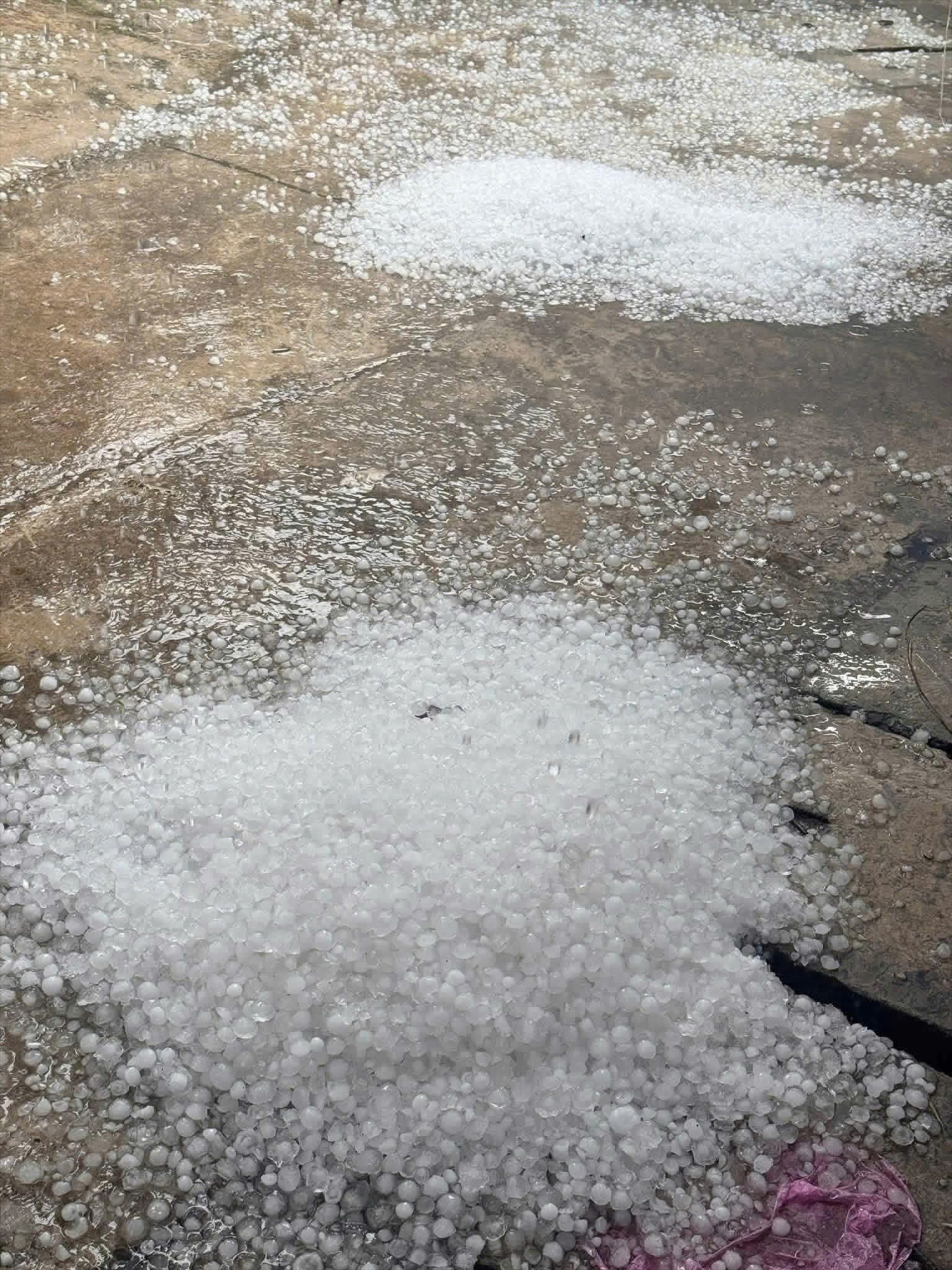 Những hạt mưa đá tại ĐIện Biên với kích thước phổ biến 2–4 cm