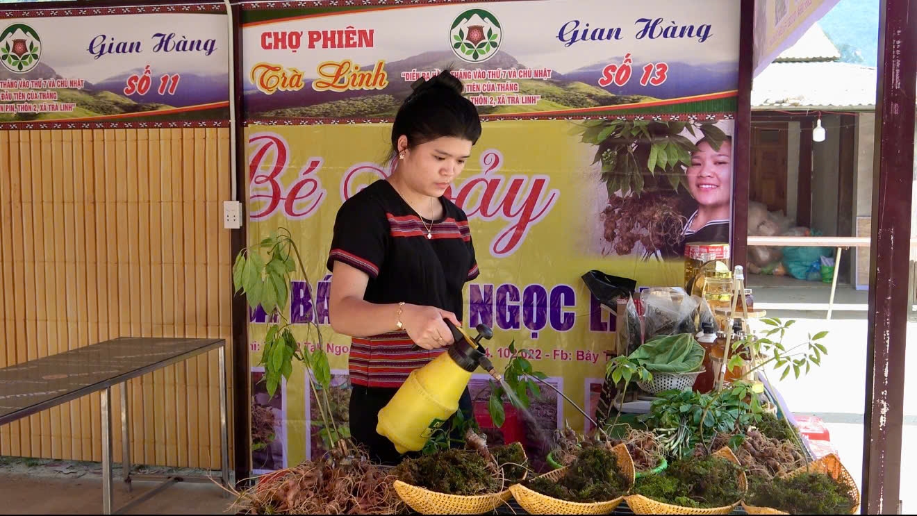 Chị Nguyễn Thị Song trưng bày sâm Ngọc Linh để bán tại chợ phiên. (Ảnh MQ)