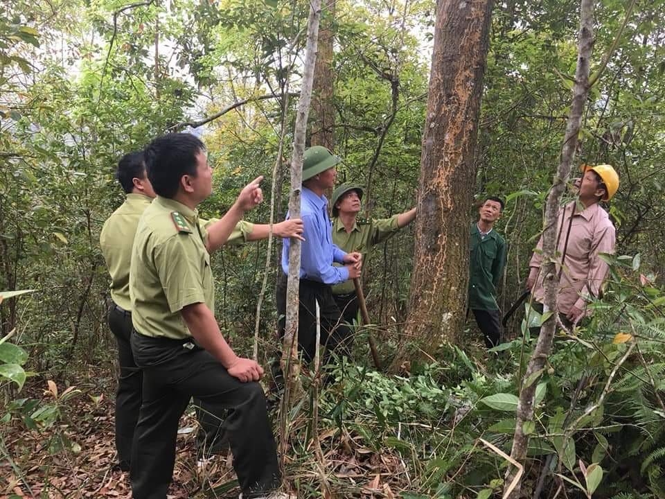 Cán bộ Kiểm lâm tỉnh Bắc Giang đi tuần tra rừng hỗ trợ khoán bảo vệ trên địa bàn