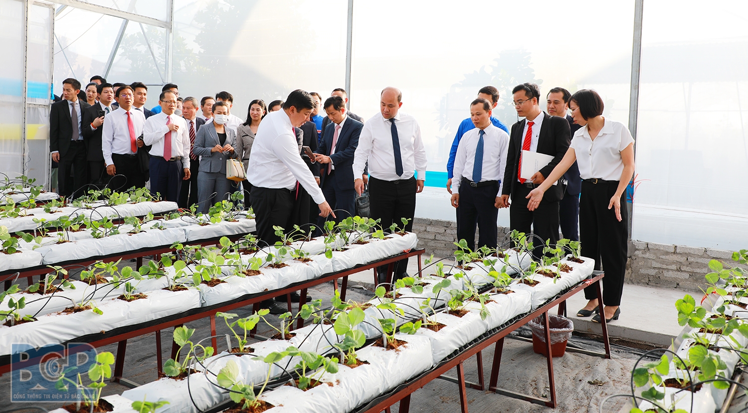 Đoàn đại biểu cấp cao Hội Liên hiệp Thanh niên Campuchia tham quan phương pháp canh tác hiện đại tại Hợp tác xã Rau sạch Yên Dũng tỉnh Bắc Giang