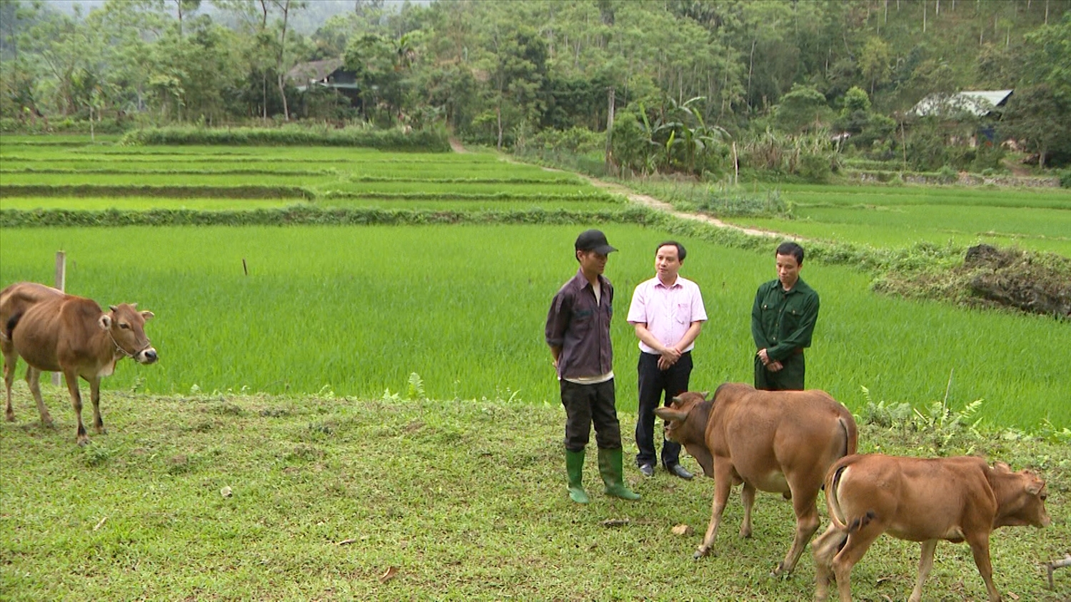 Tín dụng chính sách đã giúp gia đình ông Chẩu Văn Bình ở thôn Nà Muông, xã Khuôn Hà, huyện Lâm Bình vươn lên thoát nghèo, ổn ddingj cuộc sống