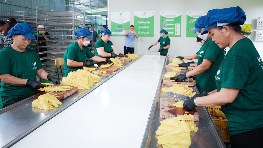 HTX chế biến nông sản Võ Nhai hiện đang tạo việc làm cho gần 40 thành viên và người lao động 