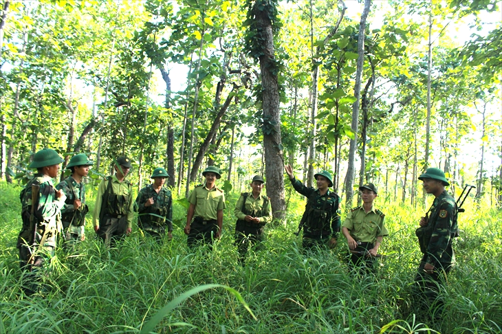Lực lượng kiểm lâm trong công tác quản lý, bảo vệ rừng và phòng cháy, chữa cháy rừng