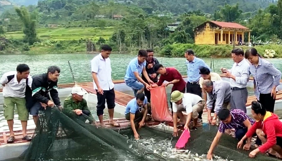 Mô hình nuôi cá lồng tại hồ thủy điện Ẳng Cang (huyện Mường Ảng, Điện Biên) giúp nhiều hộ dân vùng đồng bào DTTS vươn lên thoát nghèo.