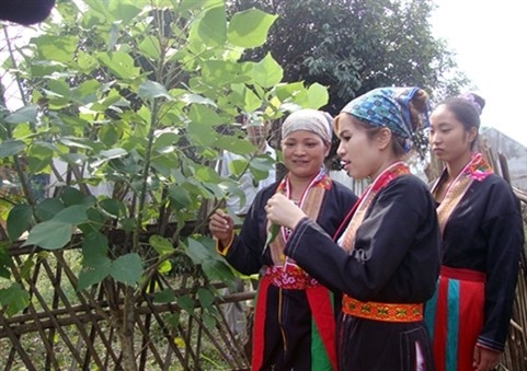Phụ nữ DTTS tại huyện Sơn Động (Bắc Giang) được các cấp chính quyền quan tâm, hỗ trợ phát triển kinh tế. (Ảnh: Xuân Thỏa)