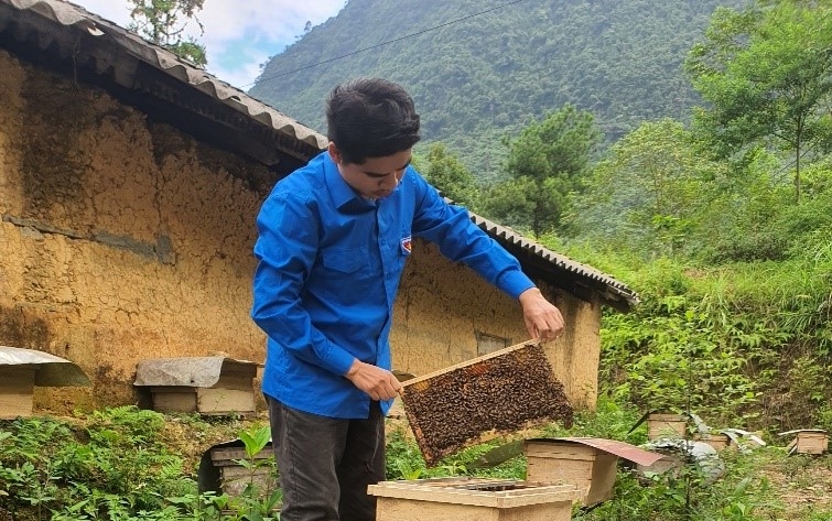 HTX nuôi ong của thanh niên người Giáy Lục Văn Truân ở Hà Giang hiện cho thu nhập hàng trăm triệu đồng mỗi năm.