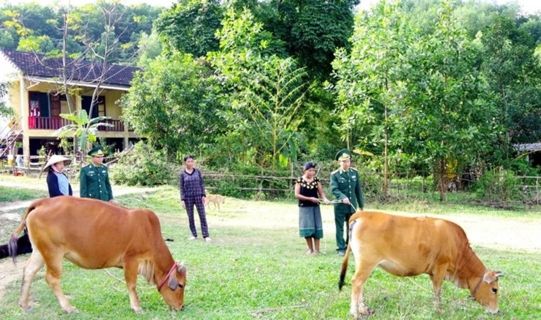 Cán bộ hướng dẫn hướng dẫn kỹ thuật giúp bà con chăn nuôi bò phát triển kinh tế.