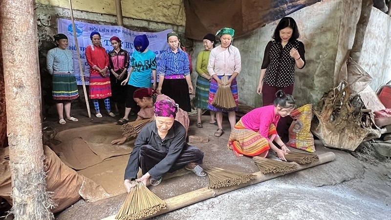 Tổ phụ nữ làm hương truyền thống (thôn Há Chế, xã Sủng Trà, huyện Mèo Vạc, Hà Giang) tập huấn kỹ thuật làm hương.