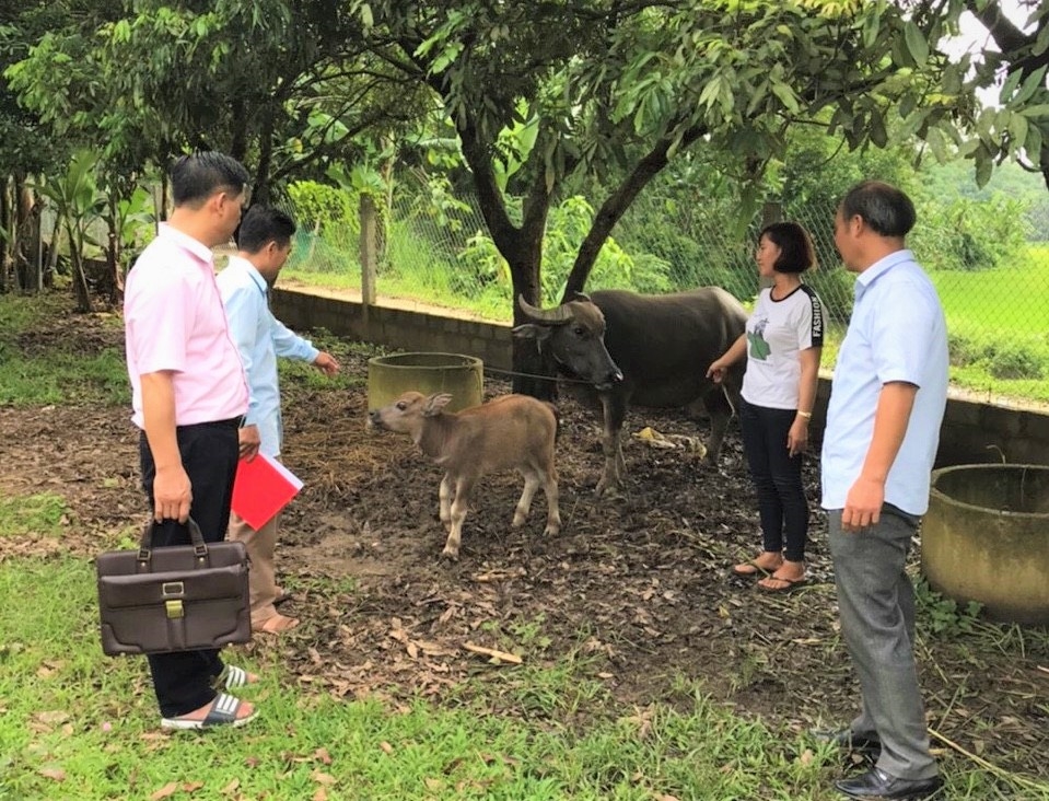 Lãnh đạo Ngân hàng CSXH chi nhánh tỉnh Tuyên Quang kiểm tra việc sử dụng nguồn vốn vay tại huyện Chiêm Hóa .