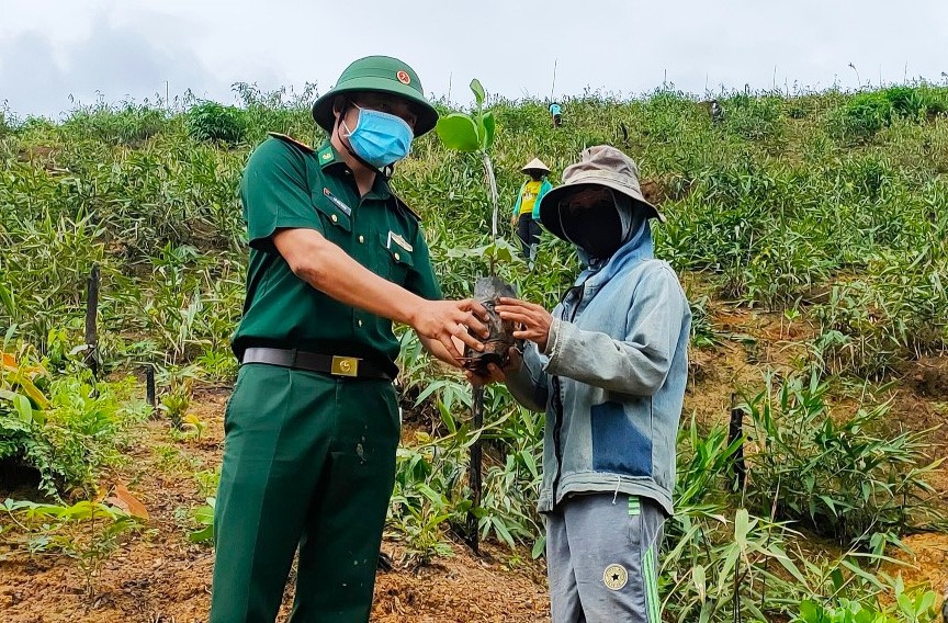 Cán bộ, chiến sĩ Đồn Biên phòng Mô Rai hướng dẫn người dân xã Mô Rai, huyện Sa Thầy trồng cây điều