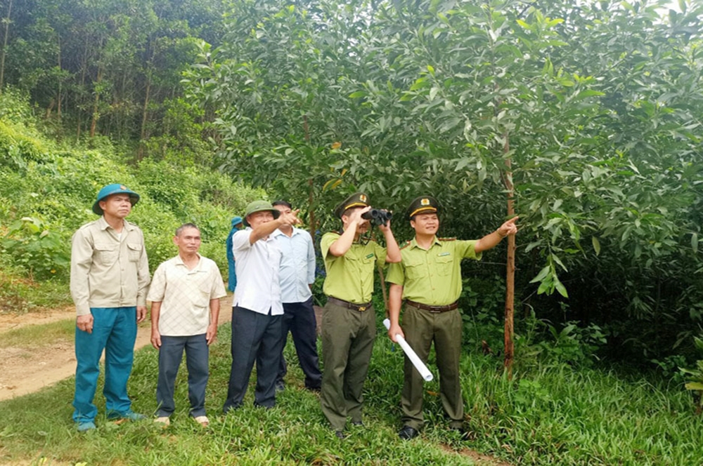 Cán bộ Ban Quản lý rừng phòng hộ Sơn Động phối hợp Tổ bảo vệ rừng cộng đồng xã An Lạc tuần tra, bảo vệ rừng