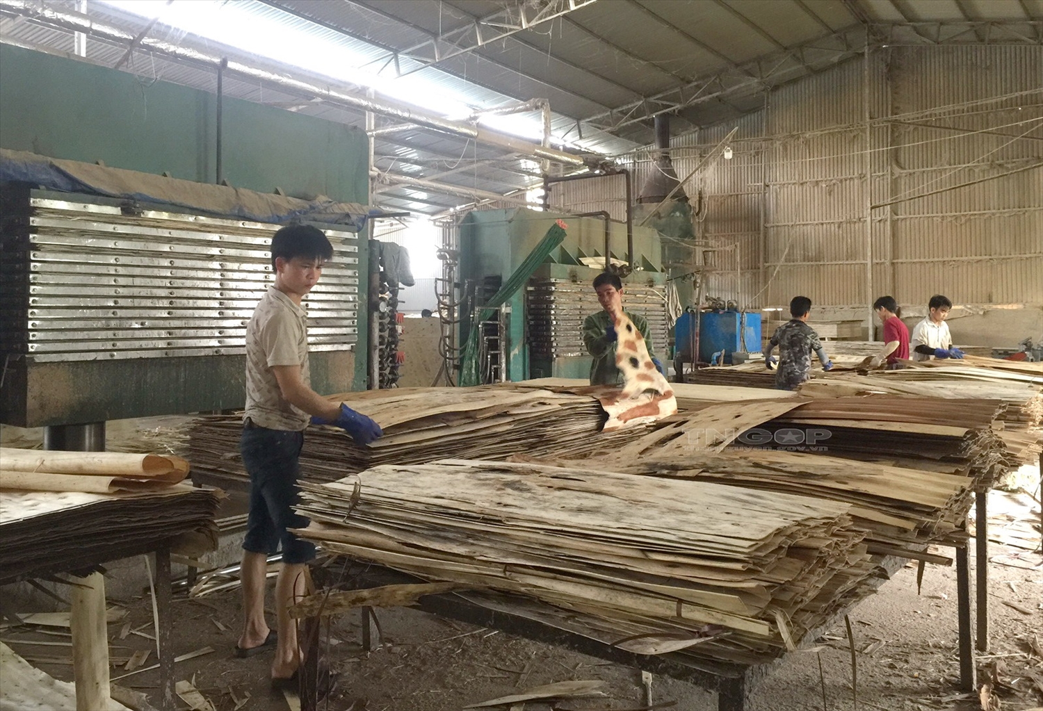 Xưởng sản xuất của ông Đặng Văn Hồng tạo công ăn việc làm hiệu quả cho cả trăm lao động tại địa phương