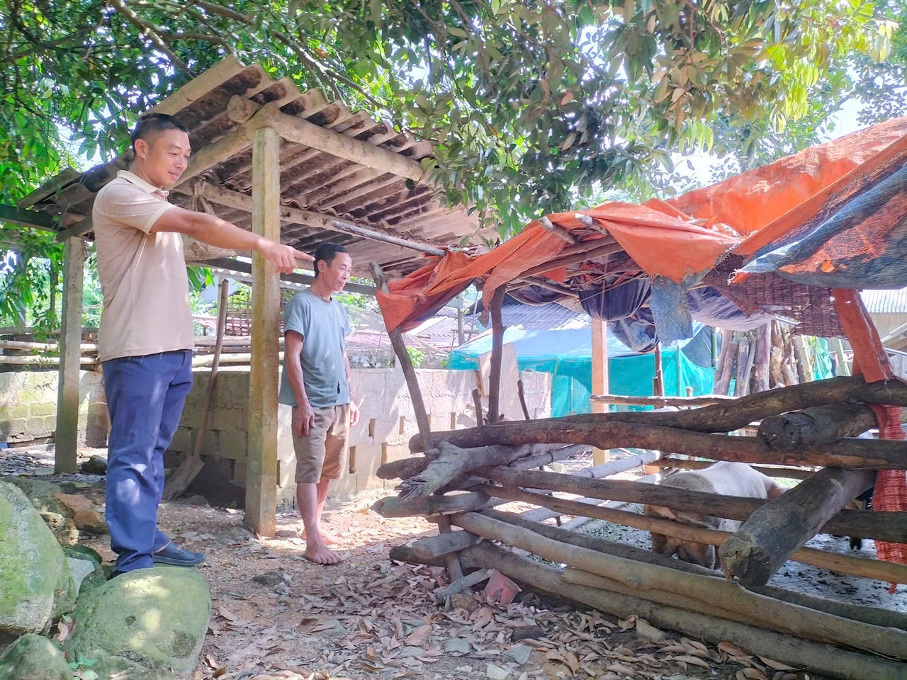 Anh Tòng Càn Tá, dân tộc Dao, thôn Sơn Thuỷ, xã Tân Mỹ, huyện Chiêm Hoá chia sẻ kinh nghiệm trong phát triển chăn nuôi ở địa phương