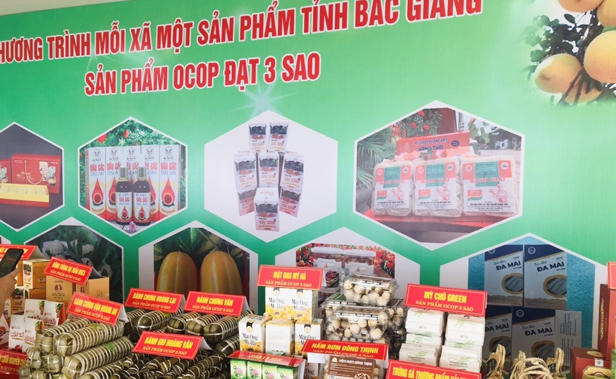 Việc thường xuyên tham gia các chương trình hội chợ, góp phần quảng bá các sản phẩm OCOP trên địa bàn tỉnh Bắc Giang.