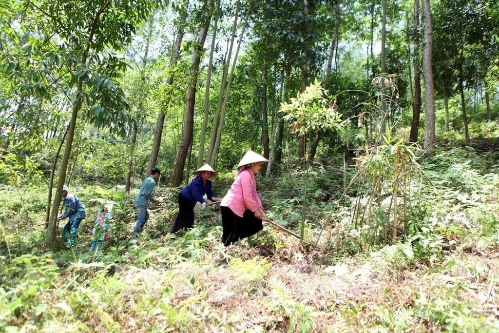 Nhờ có nguồn lực tài chính ổn định từ chính sách chi trả DVMTR, công tác tuần tra, bảo vệ rừng được người dân Lai Châu thực hiện thường xuyên và hiệu qủa.