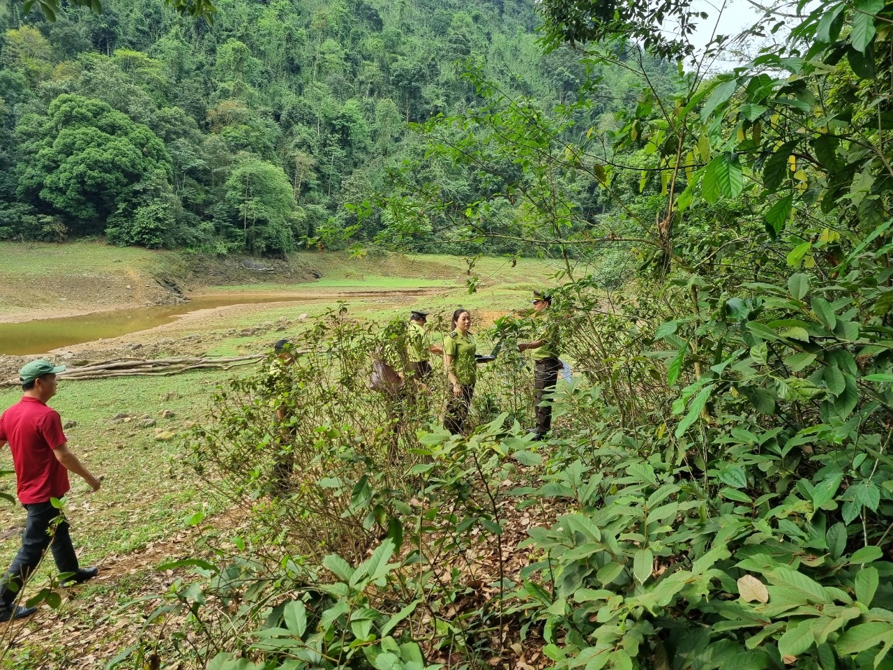 (Ban CĐ - HĐ 16.500k Chi cục KL Thái Nguyên - Đã có HĐ) Thái Nguyên: Thực hiện hiệu quả công tác quản lý, bảo vệ và phát triển rừng 2