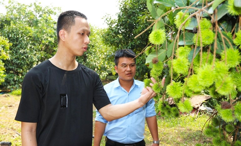 Nhờ nguồn vốn vay từ NHCSXH, gia đình anh Đỗ Anh Nhật ngụ ấp Nguyễn Thái Học, xã Bàu Hàm 2, huyện Thống Nhất (tỉnh Đồng Nai) đầu tư cho doanh nghiệp và cải tạo vườn cây ăn trái của gia đình