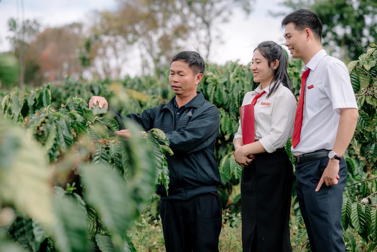  Chương trình OCOP cũng đã từng bước chuyển đổi sản xuất quy mô nhỏ sang sản xuất theo hướng liên kết chuỗi giá trị khép kín