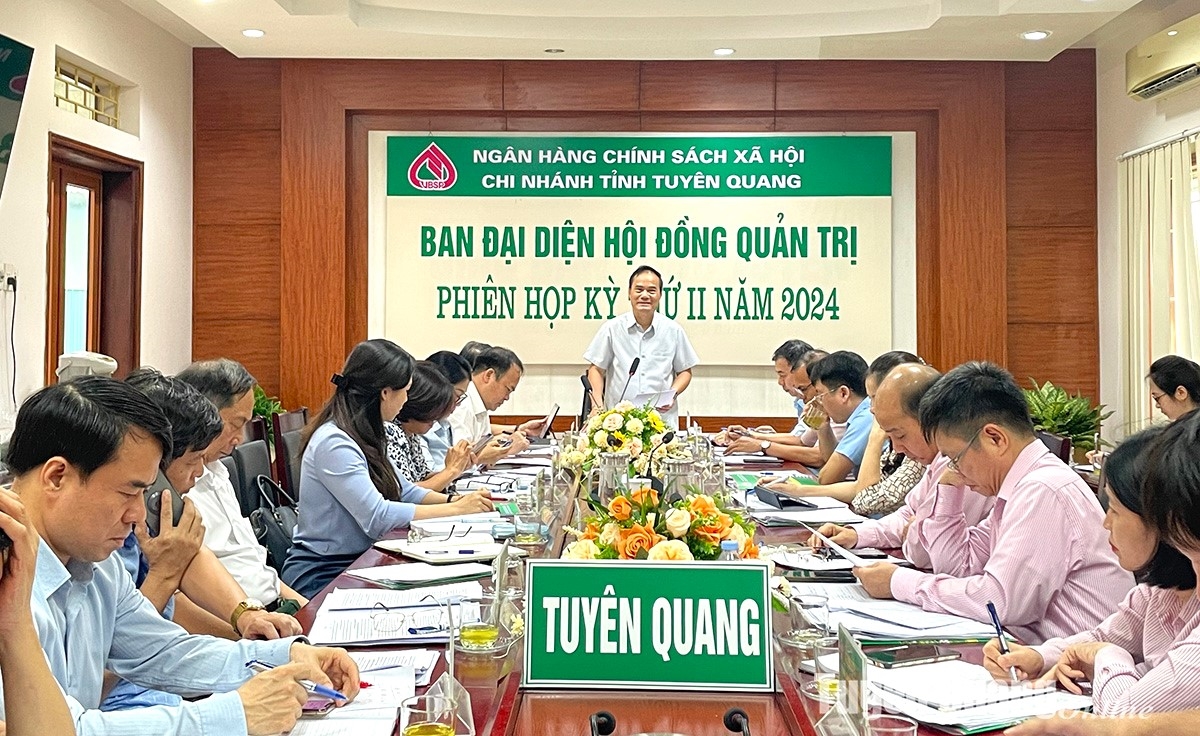  Phó Chủ tịch UBND tỉnh Tuyên Quang Hoàng Việt Phương phát biểu chỉ đạo tại phiên họp.