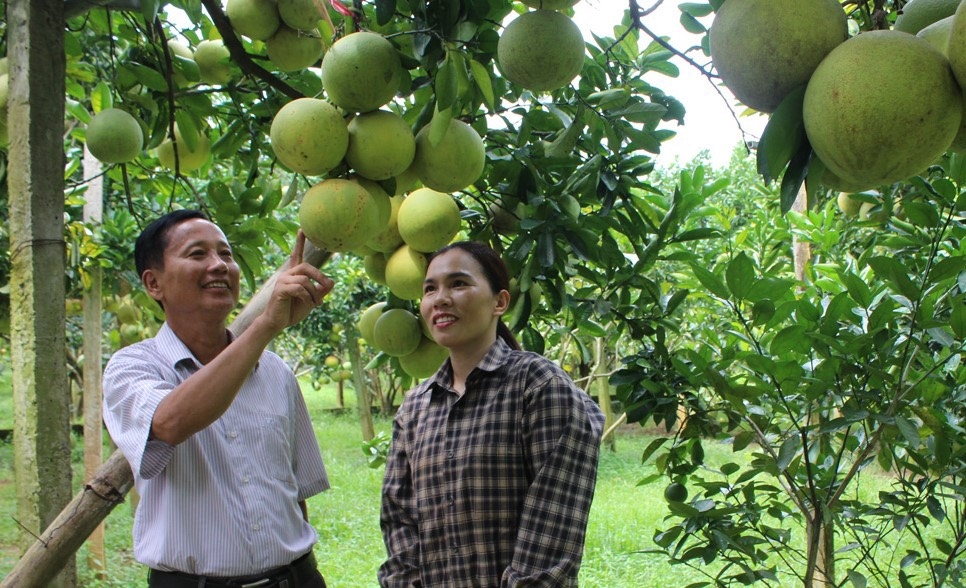 Người dân tại huyện Tân Lạc được khuyến khích tham gia các dự án hỗ trợ sản xuất cộng đồng để nâng cao hiệu quả sản xuất.