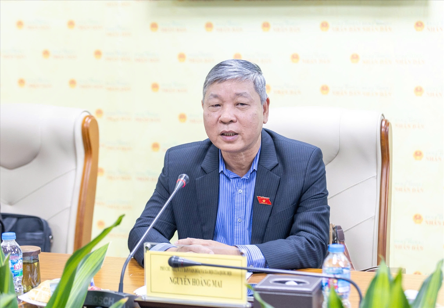 Phó Chủ nhiệm Ủy ban Văn hóa và Xã hội Nguyễn Hoàng Mai phát biểu tại Tại chương trình giao lưu Công tác Dân số Việt Nam - Nền tảng cho sự phát triển bền vững của đất nước