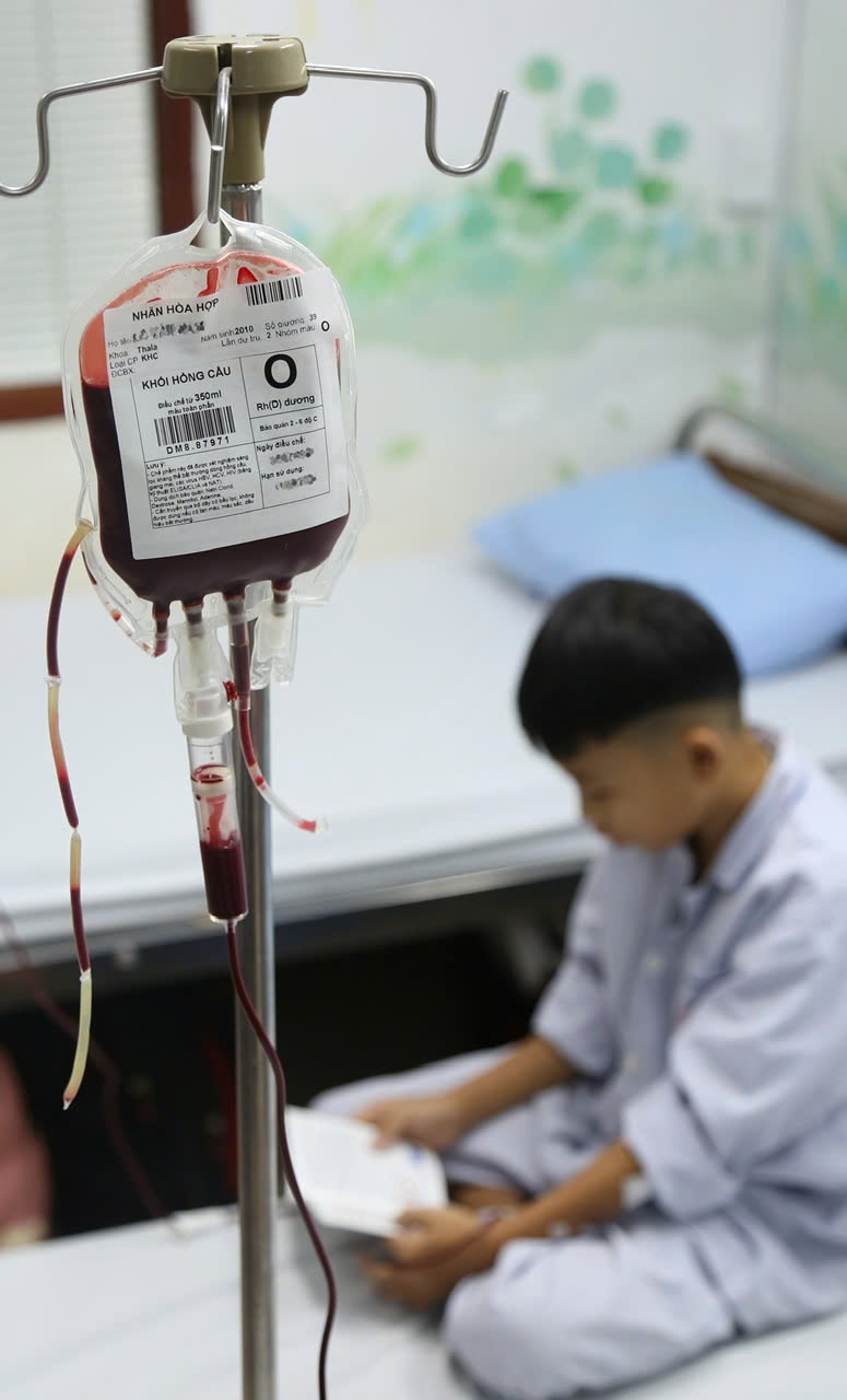 Người bệnh thalassemia phải định kỳ truyền máu (khối hồng cầu), thải sắt và điều trị biến chứng tại các bệnh viện.