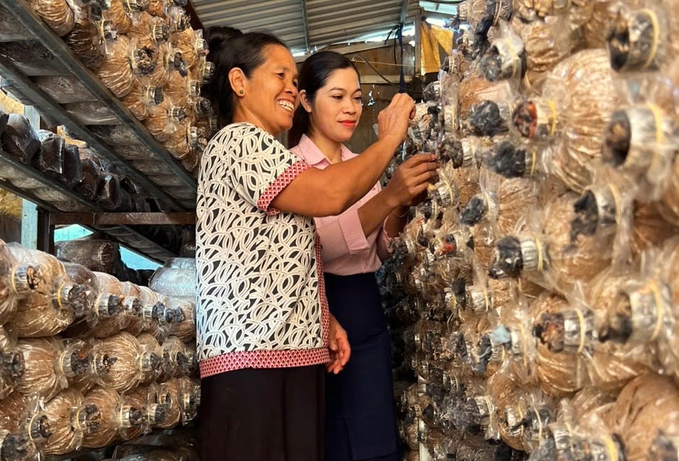 Đồng bào DTTS tại tỉnh Đắk Nông đã mạnh dạn vay vốn chính sách để mở rộng gia trại, phát triển chăn nuôi, trồng trọt mang lại thu nhập kinh tế hiệu quả