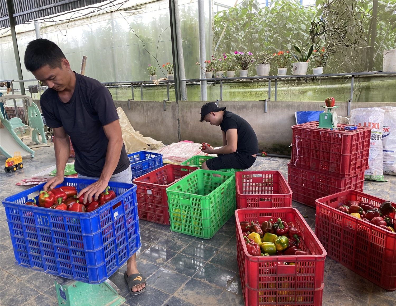 Giai đoạn đóng gói sản phẩm