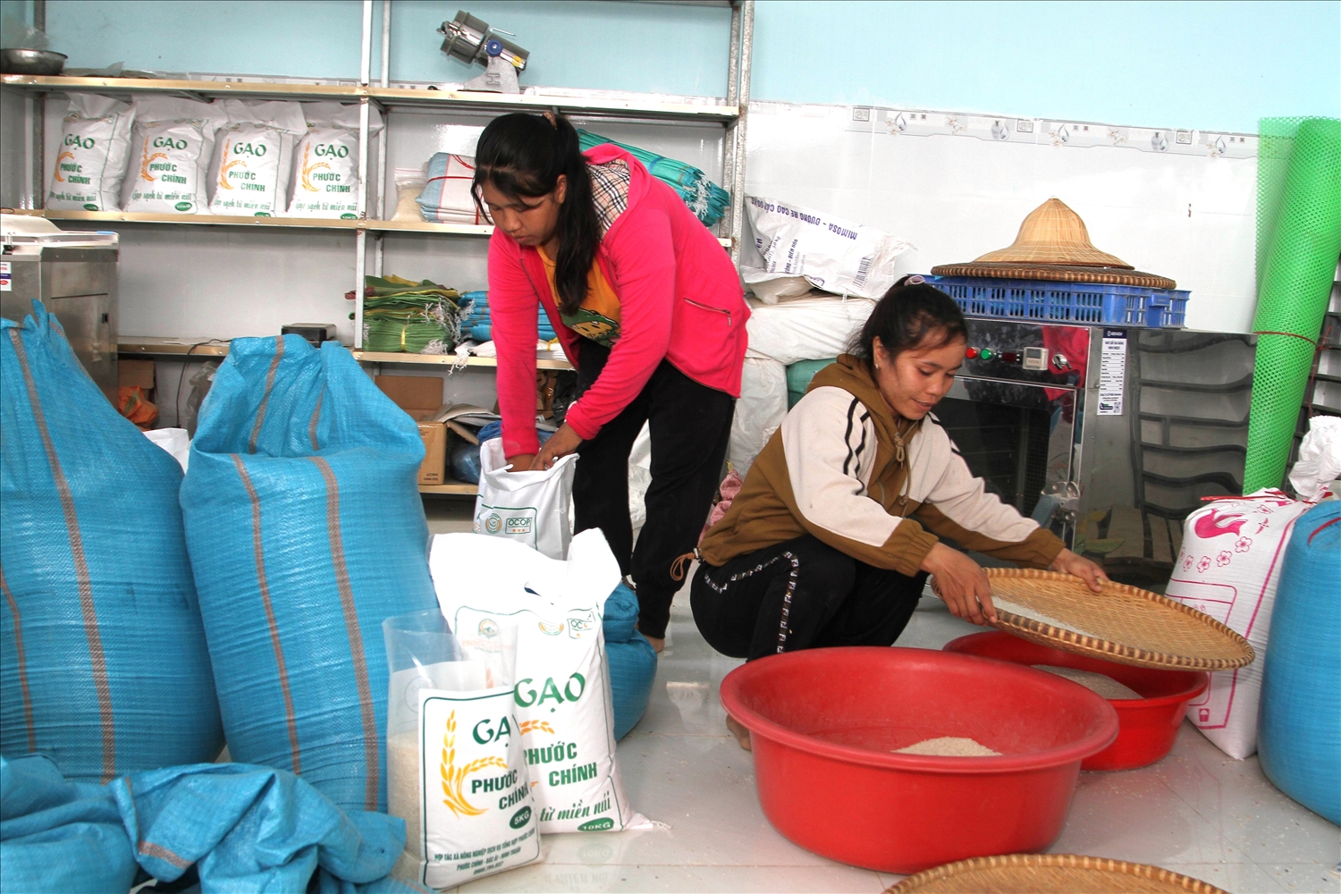 Lao động HTX dịch vụ nông nghiệp tổng hợp Phước Chính (xã Bác Ái, tỉnh Khánh Hòa) đóng gói gạo đạt tiêu chuẩn OCOP cung cấp thị trường trong và ngoài tỉnh