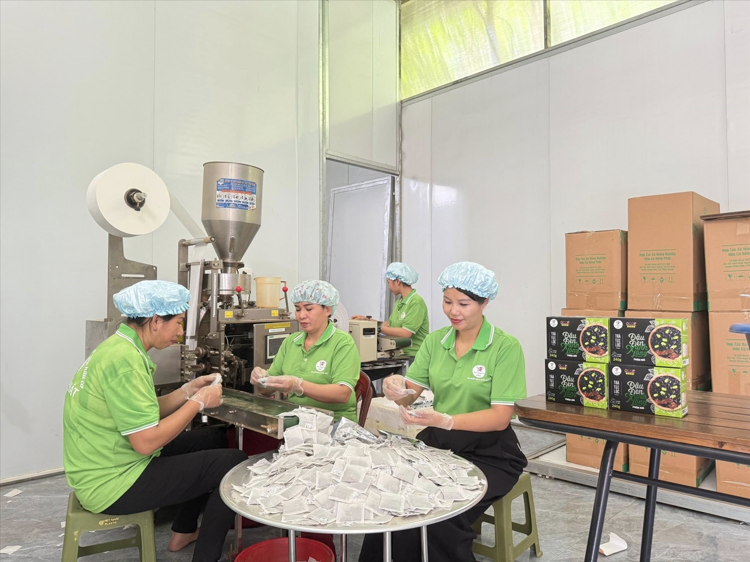 Thành viên HTX Nông nghiệp hữu cơ Hồng Phát (tỉnh Tuyên Quang).