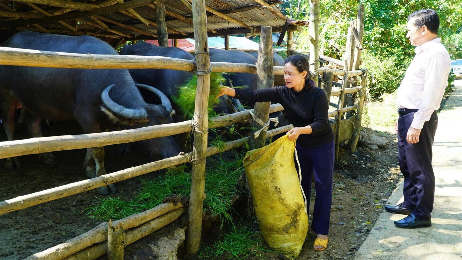 Tín dụng chính sách đồng hành cùng người dân