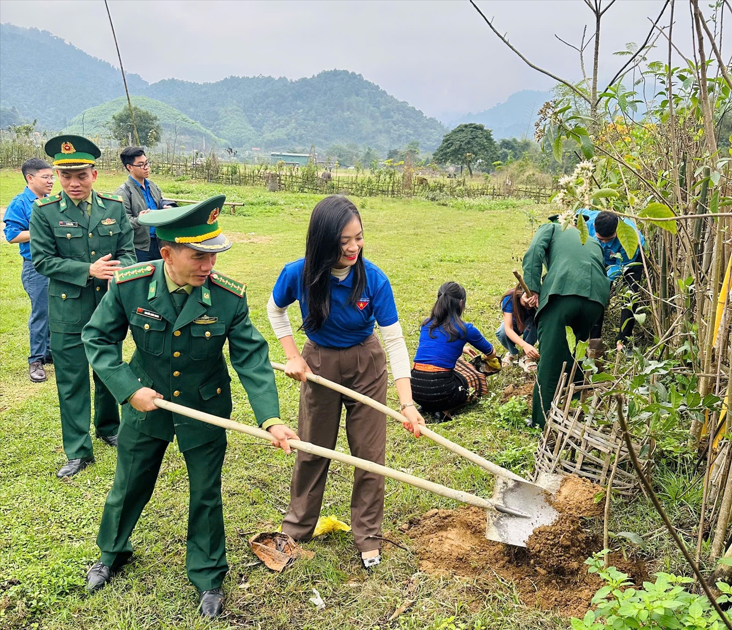 Vườn câu sinh kế Thanh niên trên địa bàn xã Môn Sơn, huyện Con Cuông (Nghệ An)