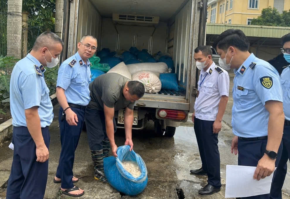 Lực lượng chức năng kiểm tra số lòng lợn có dấu hiệu không đảm bảo an toàn thực phẩm tại Mỹ Văn (Hưng Yên). 