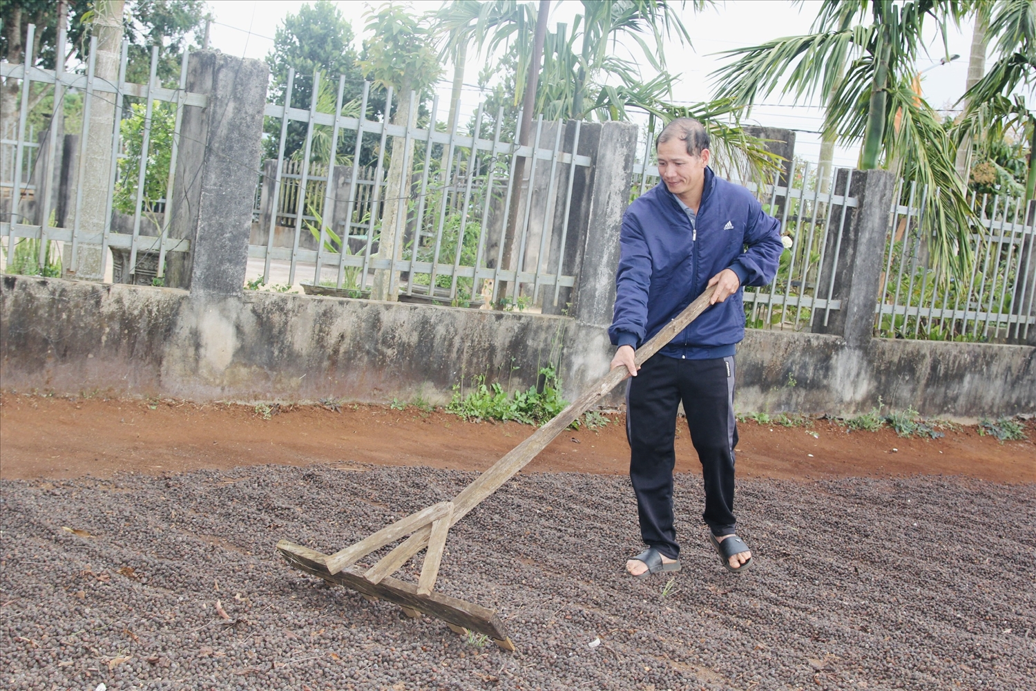 Nhờ nguồn vốn vay tín dụng chính sách xã hội từ Phòng giao dịch NHCSXH Krông Năng, gia đình anh Đinh Văn Tý (thôn Hải Hà, xã Dliê Ya) đầu tư sản xuất, nâng cao thu nhập, ổn định cuộc sống.