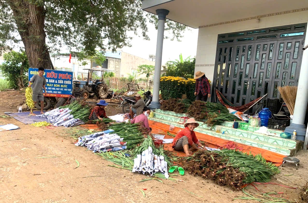 Xuân Bính Ngọ 2026, lượng hoa của đồng bào dân tộc Chơ ro, ấp Trung Sơn được đóng gói để cung cấp cho các địa phương khác trong toàn quốc. 