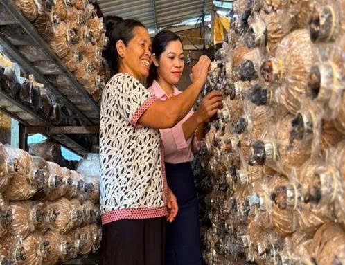 Chị H’Loan thăm, kiểm tra mô hình trồng nấm của hộ vay vốn, đồng hành cùng người dân nâng cao hiệu quả sử dụng nguồn vốn tín dụng chính sách.